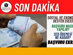 Sosyal Ekonomik Destek Nedir? Başvuru Nasıl Yapılır? SED Ne Kadar?