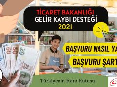 Gelir Kaybı Desteği Nedir? Online Başvuru ve Şartlar! – 2022