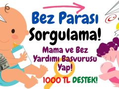 Bez Parası Sorgulama! Mama ve Bez Yardımı Başvurusu 1000 TL!