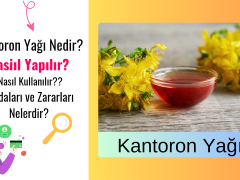 Kantaron Yağı Nedir? Nasıl Yapılır? Faydaları Nelerdir?