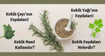 Kekik :Doğanın Mucizevi Şifası! Nasıl Kullanılır? Faydaları Neler?