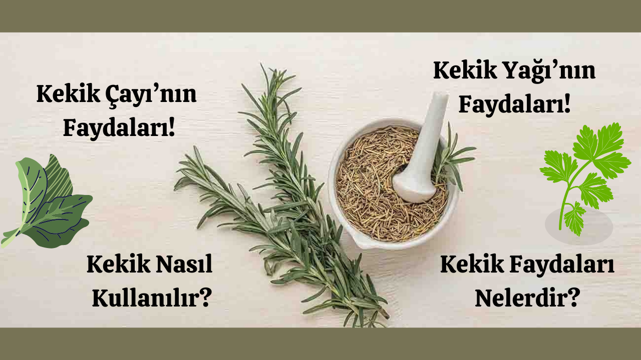 Kekik :Doğanın Mucizevi Şifası! Nasıl Kullanılır? Faydaları Neler?